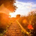 Walking Home to God Together